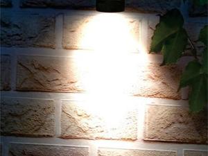 Светодиодные настенные светильники наружного освещения SC-K101